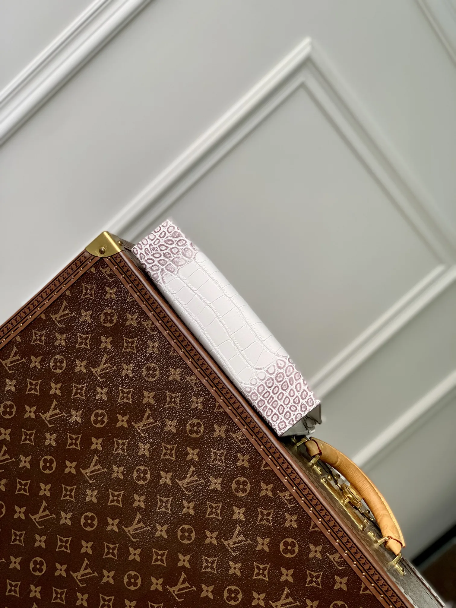 Louis Vuitton N41696 White Crocodile 26cm view 4