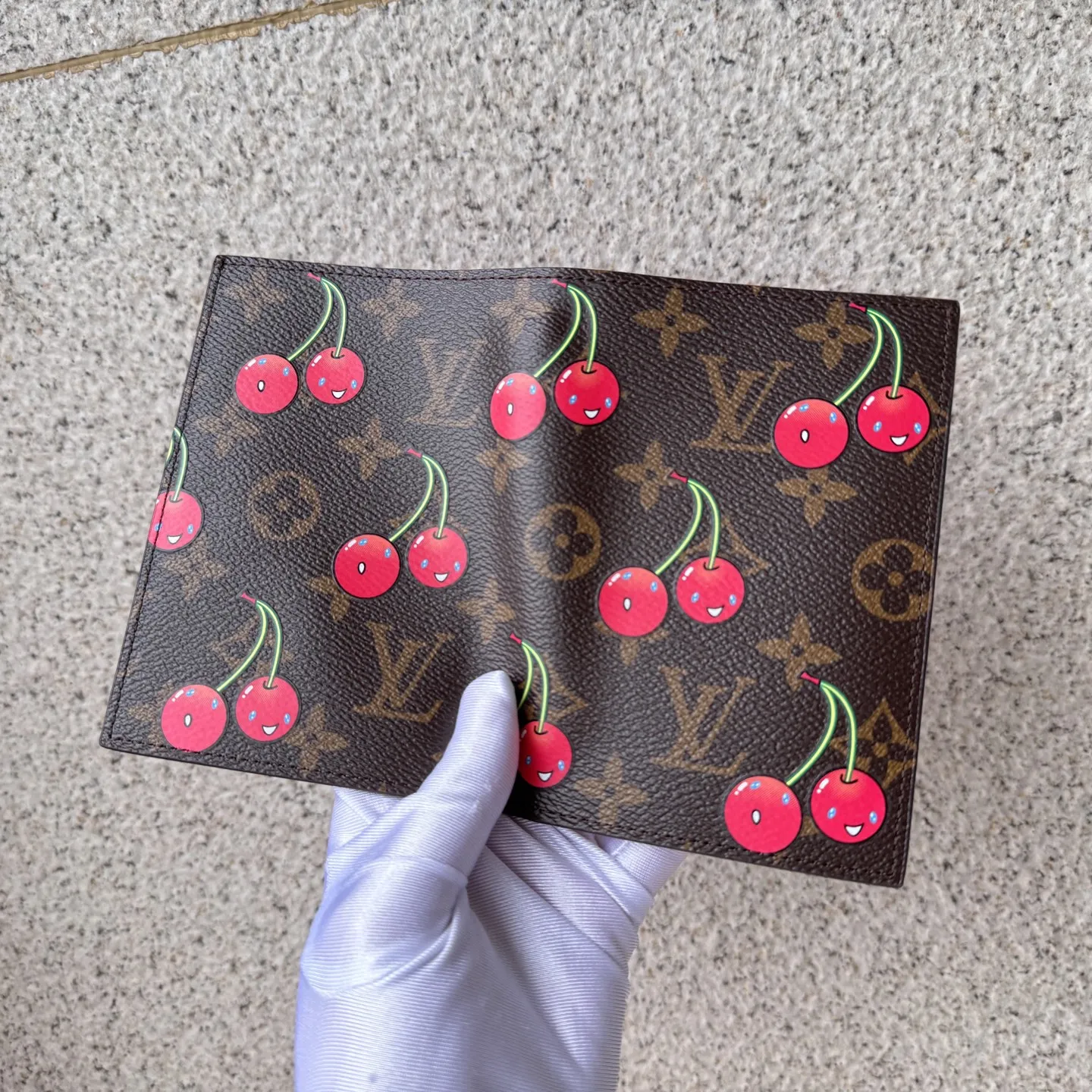 Louis Vuitton Passport Cover view 8