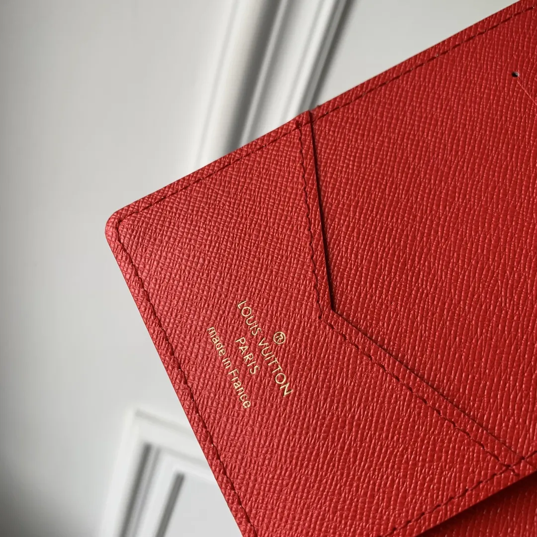 Louis Vuitton Passport Holder Brown 10cm view 6