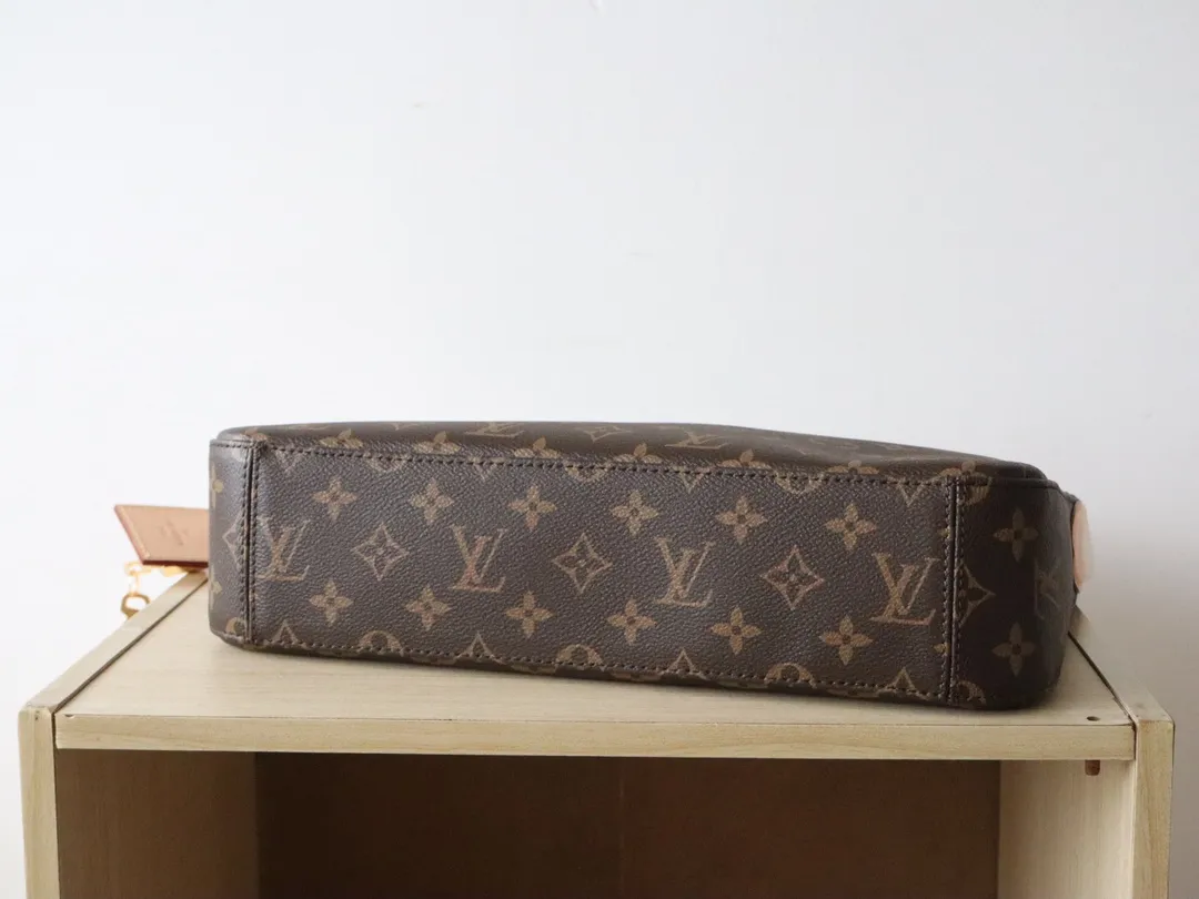 Louis Vuitton Slouchy Monogram Small view 4