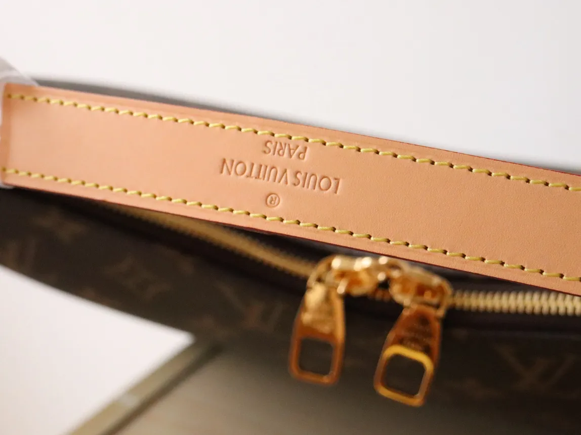 Louis Vuitton Slouchy Monogram Small view 6